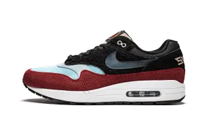 Waterproof Standing All Air Max 1 PRM "Swipa/De'Aaron Fox"