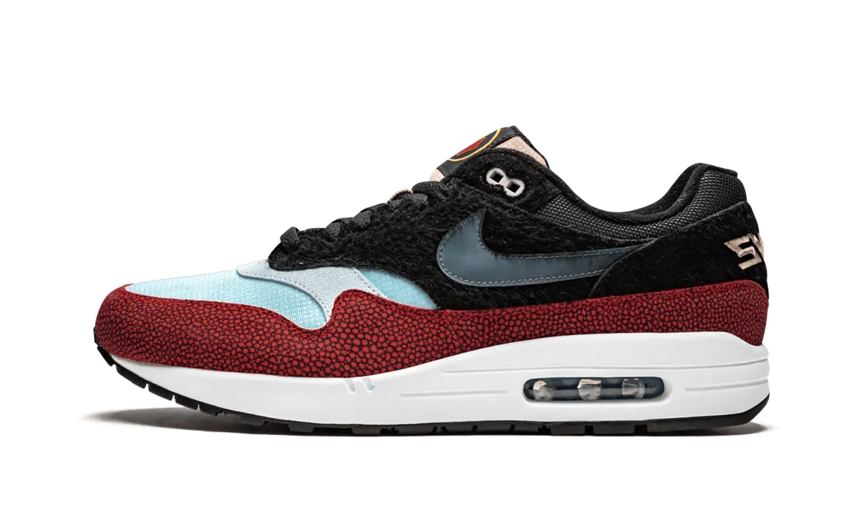 Waterproof Standing All Air Max 1 PRM "Swipa/De'Aaron Fox"