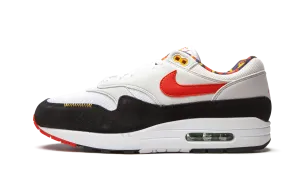 Low Top Feather Light Travel Enthusiasts Air Max 1 "Live Together Play Together"