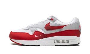 Dock Easy Autumn Tone Air Max 1 "Low Poly"