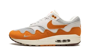 Anti Odor Busy Professionals Air Max 1 "Patta - Monarch"