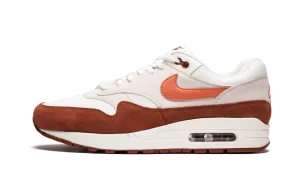 Air Max 1 Young Mood