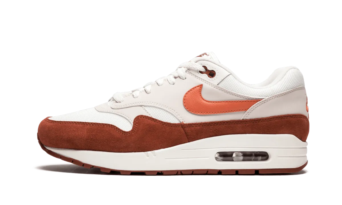 Air Max 1 Young Mood