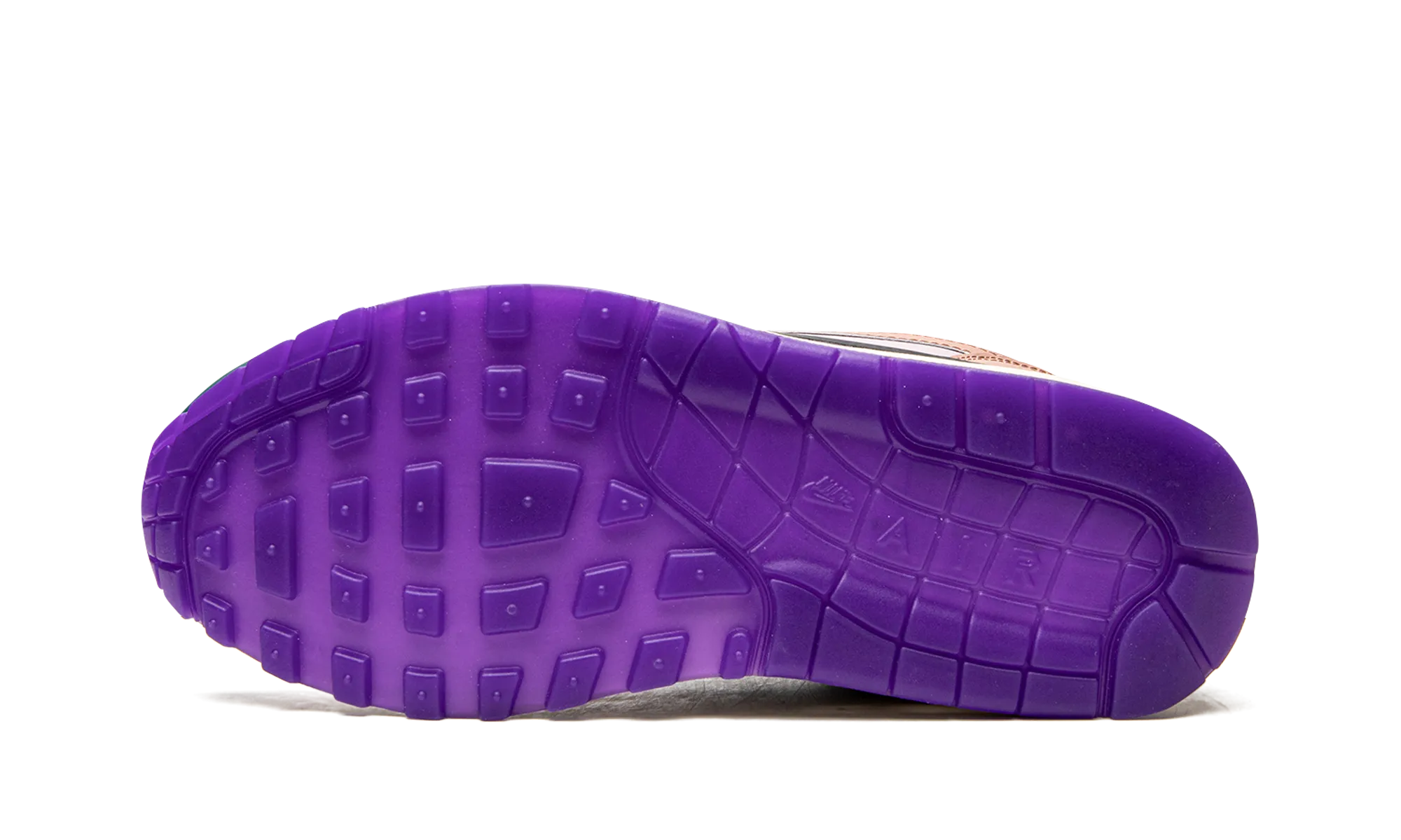 AIR MAX 1 () WMNS "Plum Fog Fossil Rose" Waterproof Traction Impact Dispersion System