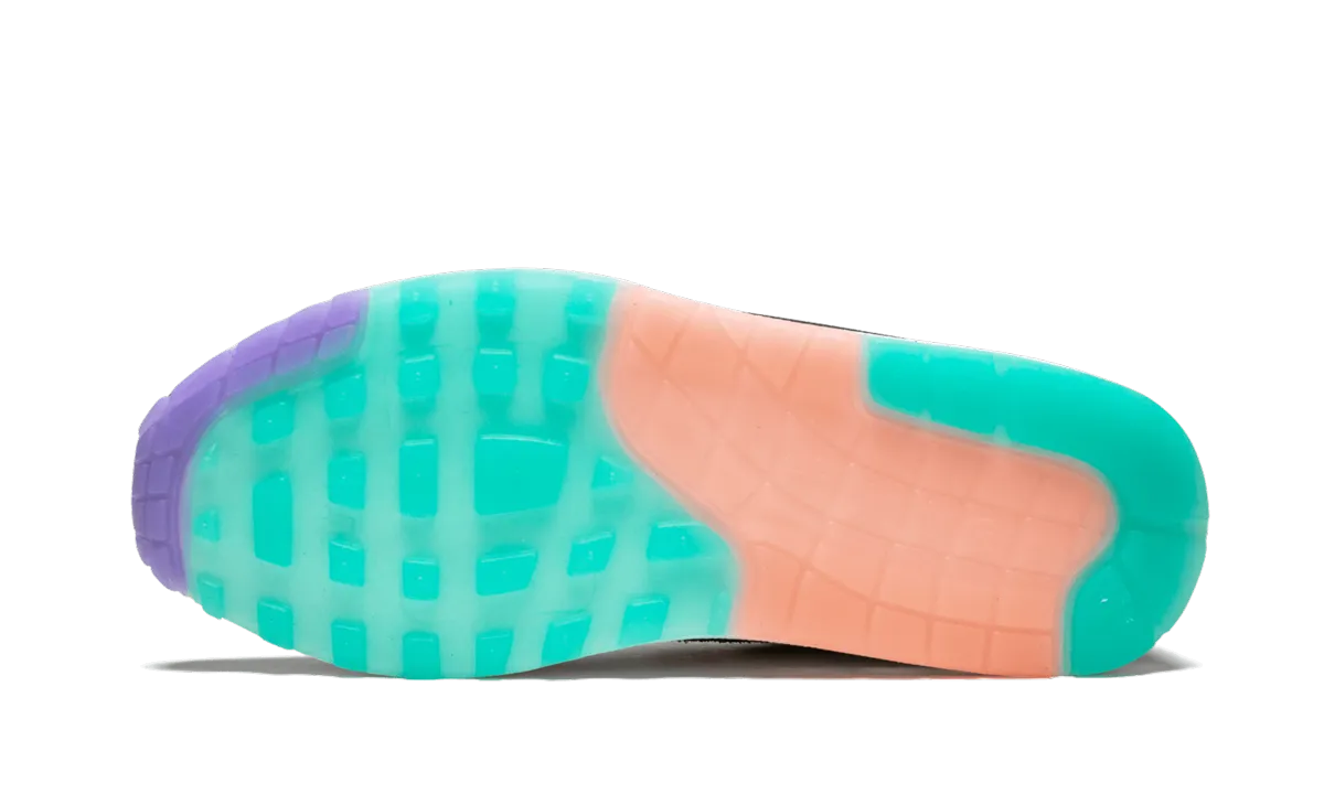 Air Max 1 ND "Have A Nike Day" Stable Core Block Walk