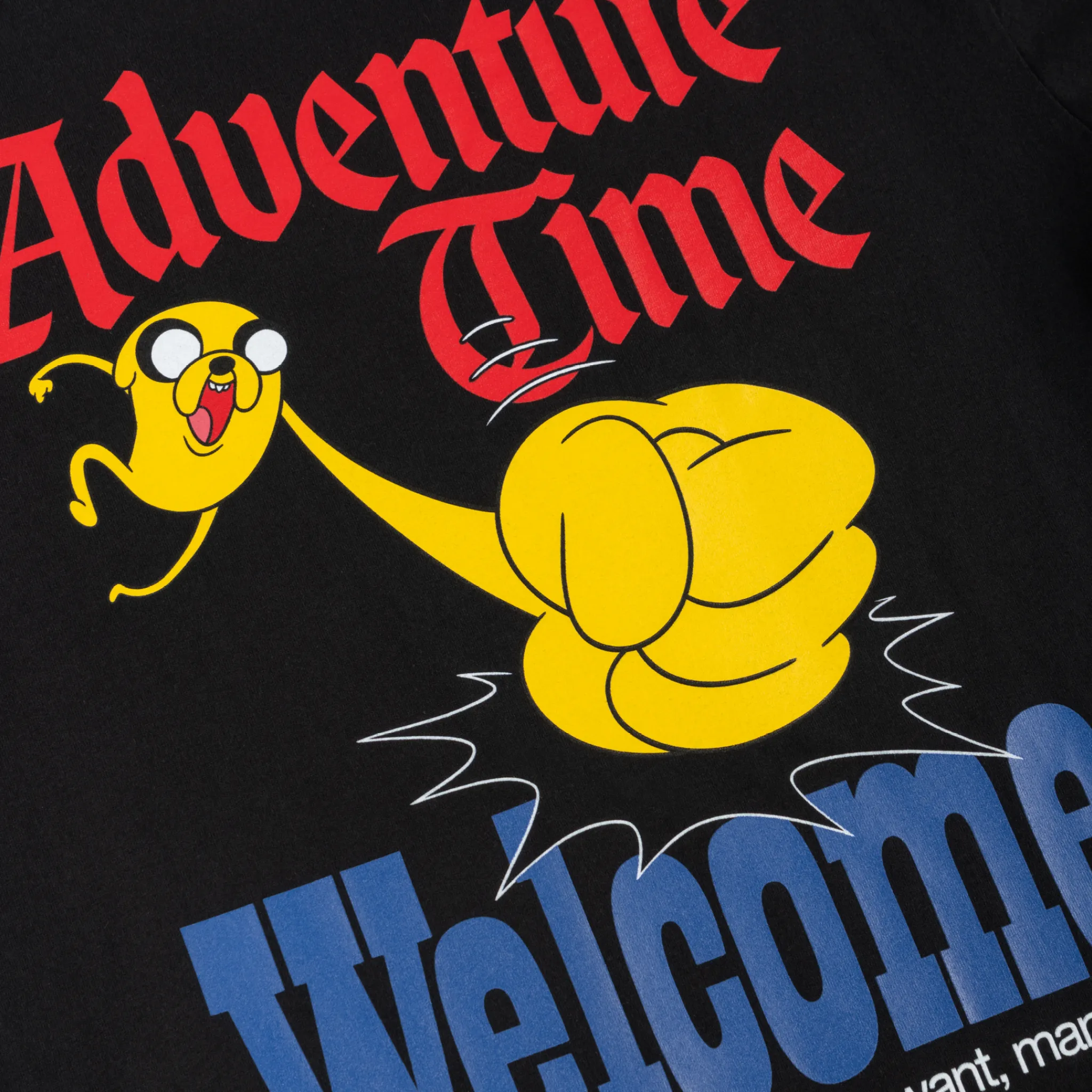 UPF Rated Fabric ADVENTURE TIME X WELCOME - Peppermint Butler Boxy Garment-Dyed Tee