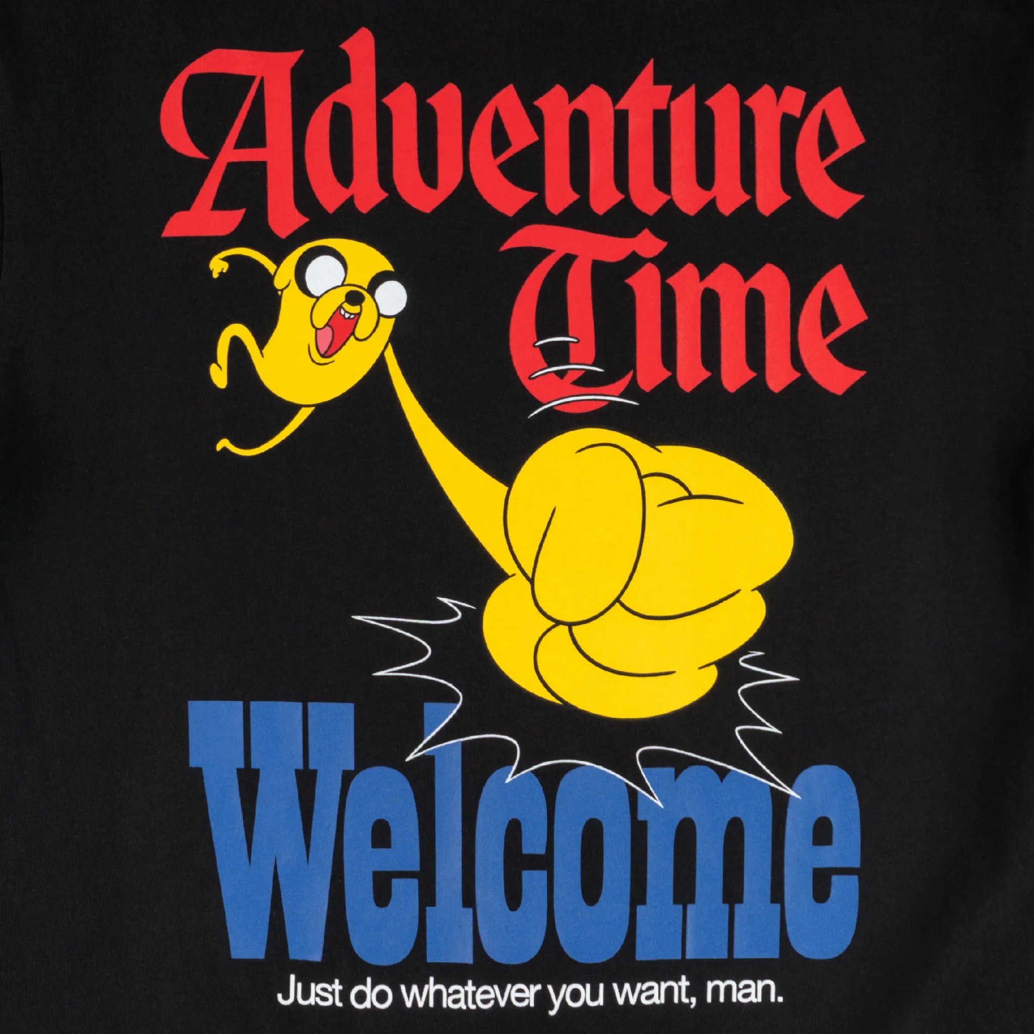 MultipurposeUse ADVENTURE TIME X WELCOME - Peppermint Butler Boxy Garment-Dyed Tee