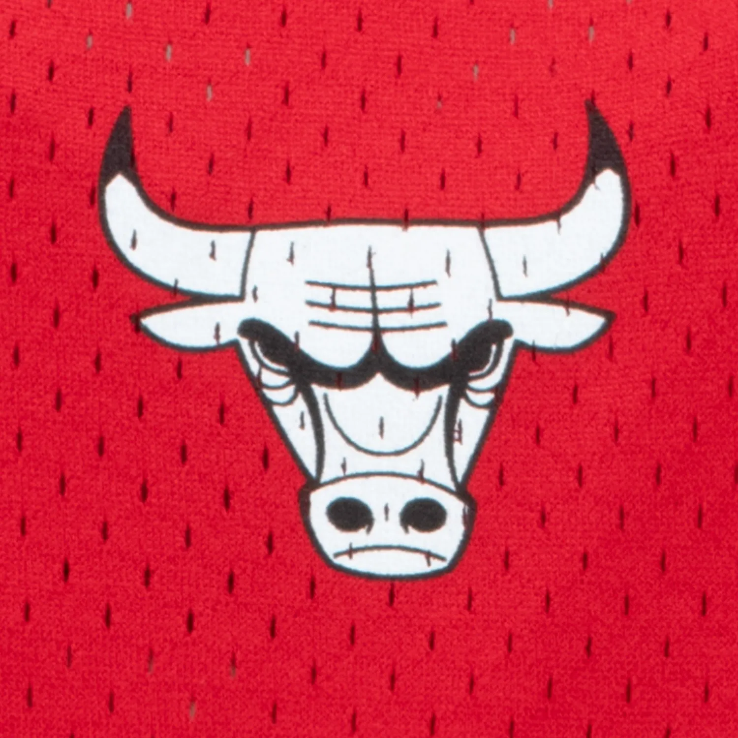 Fade Resistant Dye Tagless Construction Chicago Bulls Authentic Lollapalooza 2024 Jersey