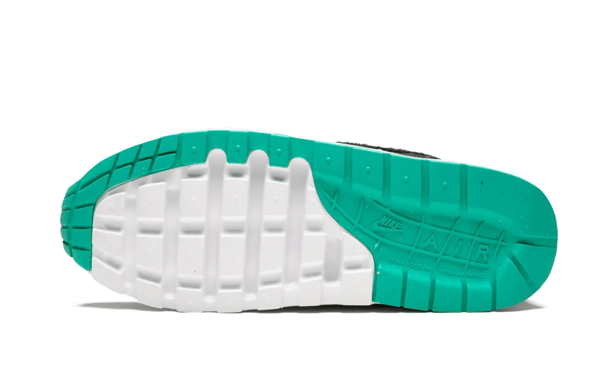 Air Max 1 NK Day (GS) "Have a Nike Day" Anti Bacterial