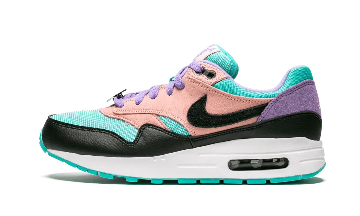 Cushioned Midsole Lace Up Tension Control Air Max 1 NK Day (GS) "Have a Nike Day"