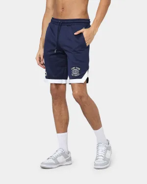 Warm Days Puma Puma Team Shorts 8" PT Shorts Peacoat