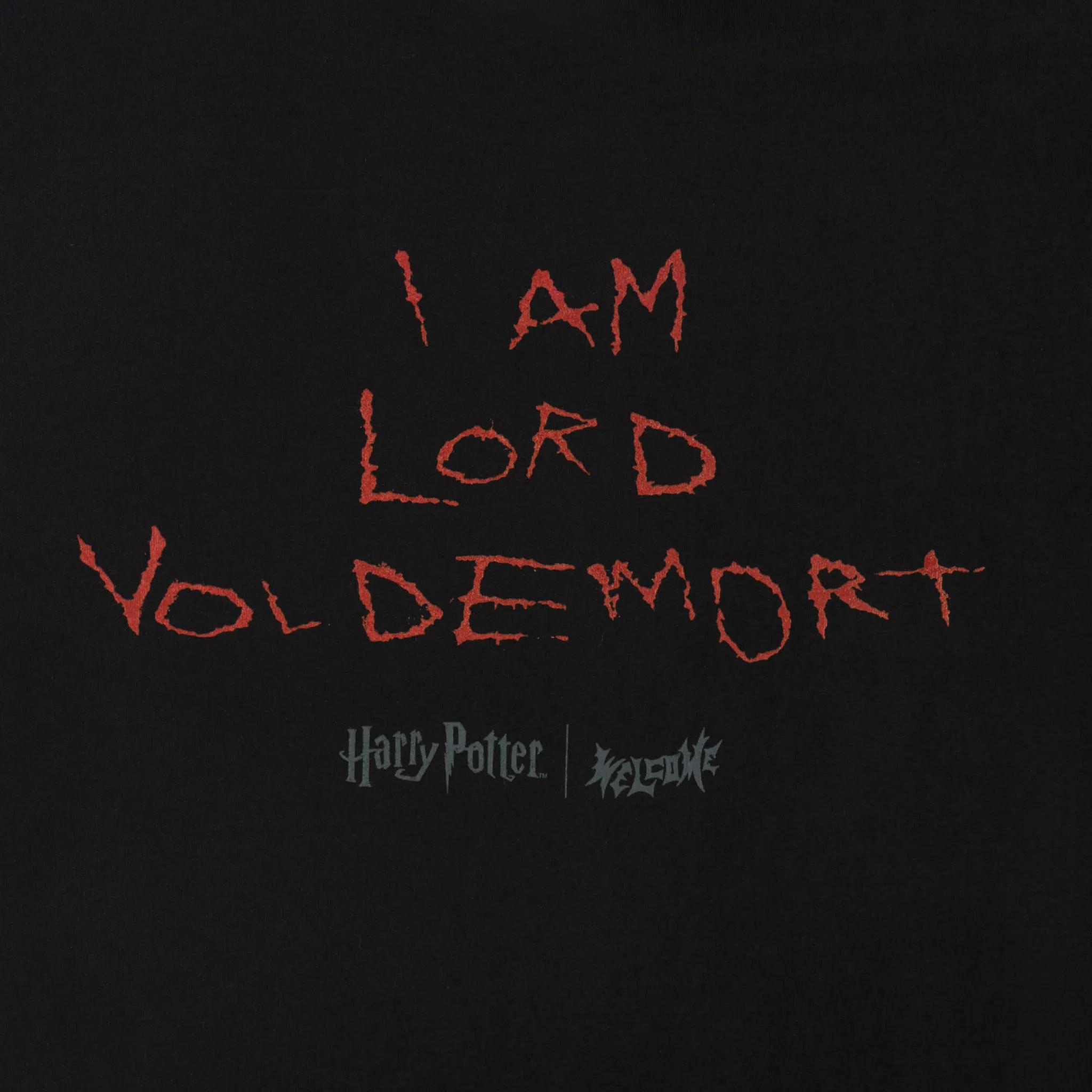 HARRY POTTER X WELCOME - Voldemort Boxy Garment-Dyed Tee Indoor clothing