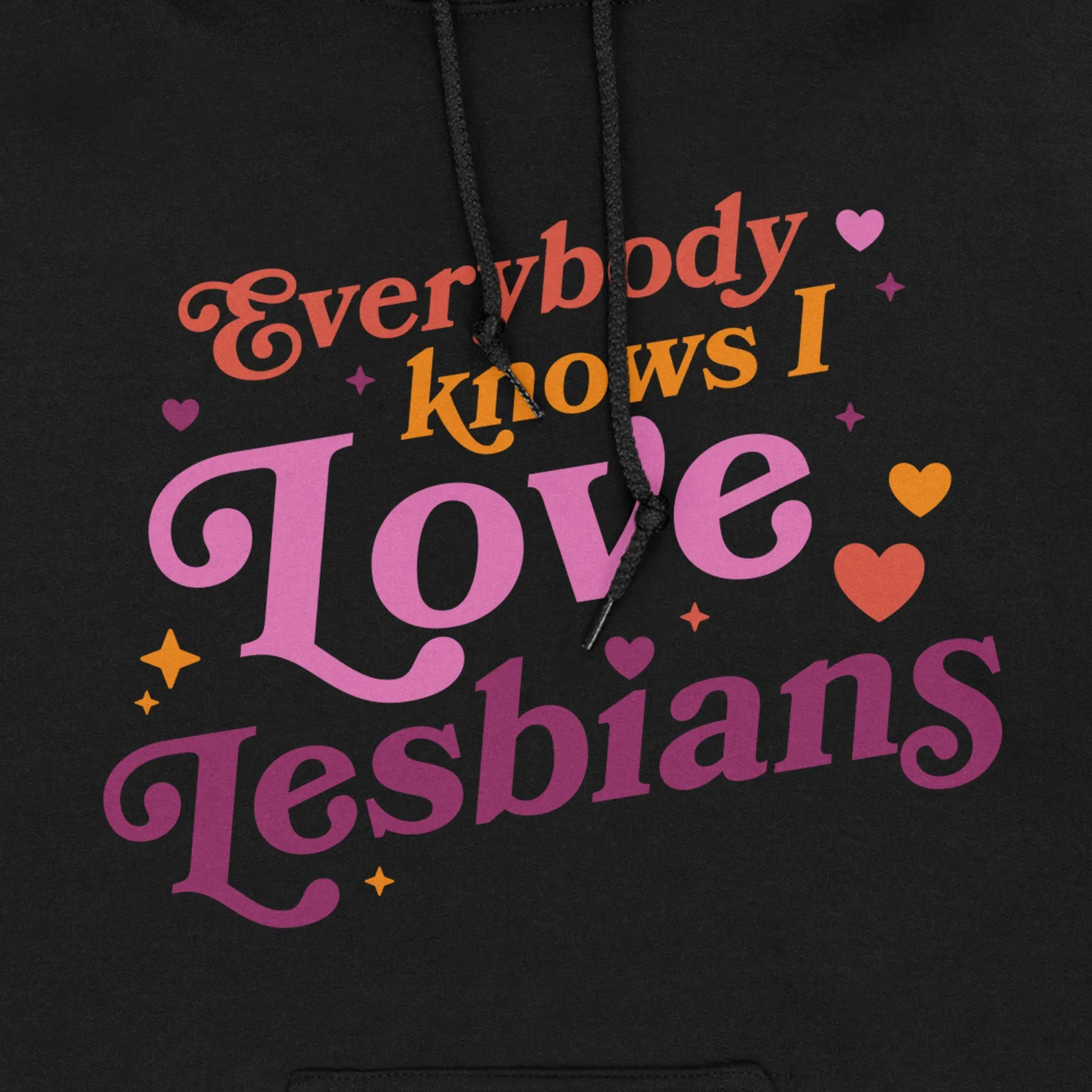fade resistance Eco Friendly Everybody Knows I Love Lesbians Hoodie (Black)