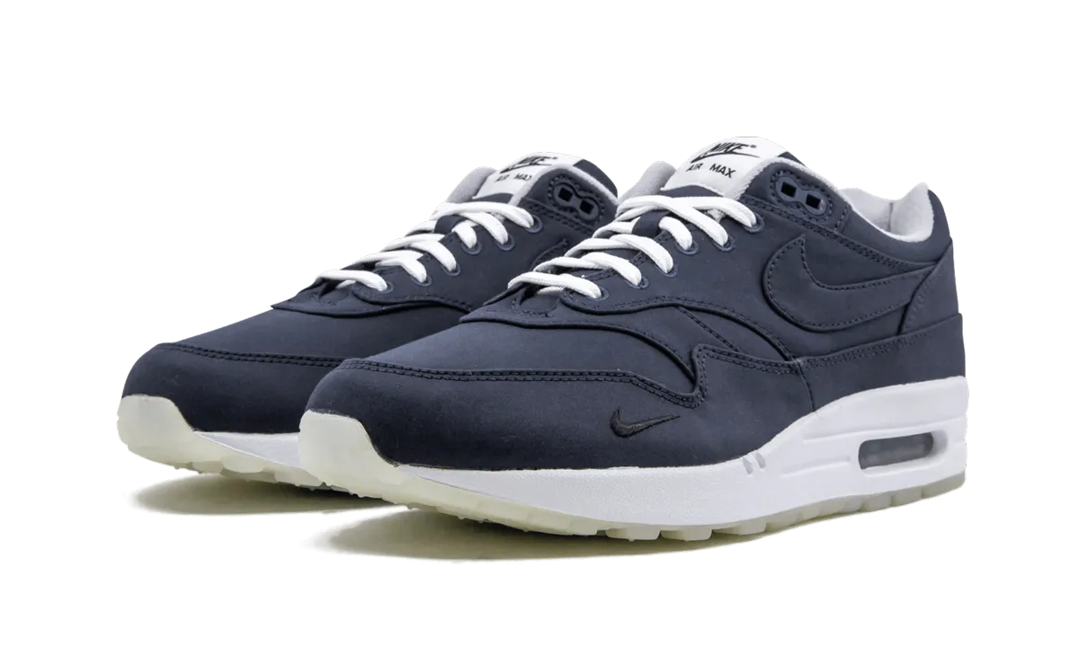 Air Max 1 "DSM" Anytime Go Fiber Mix