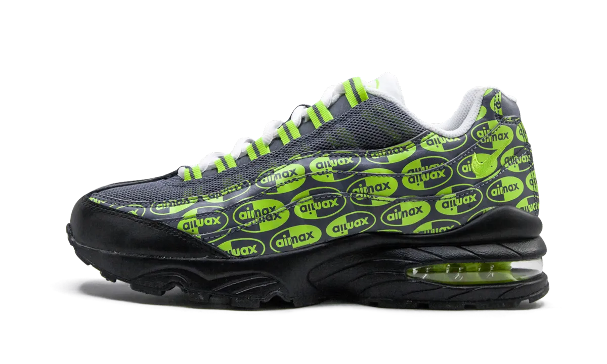 City Edge Trail Strong Air Max 95 SE (GS)