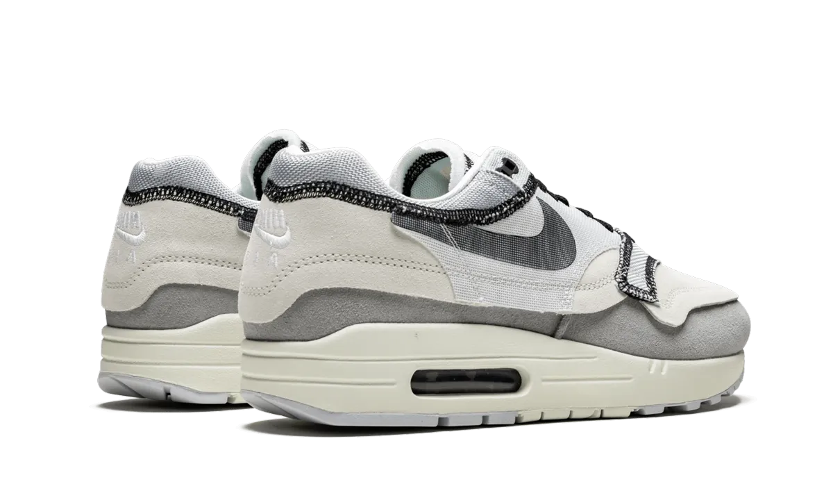 Cold Tone Travel Light Air Max 1 "Inside Out - Phantom"