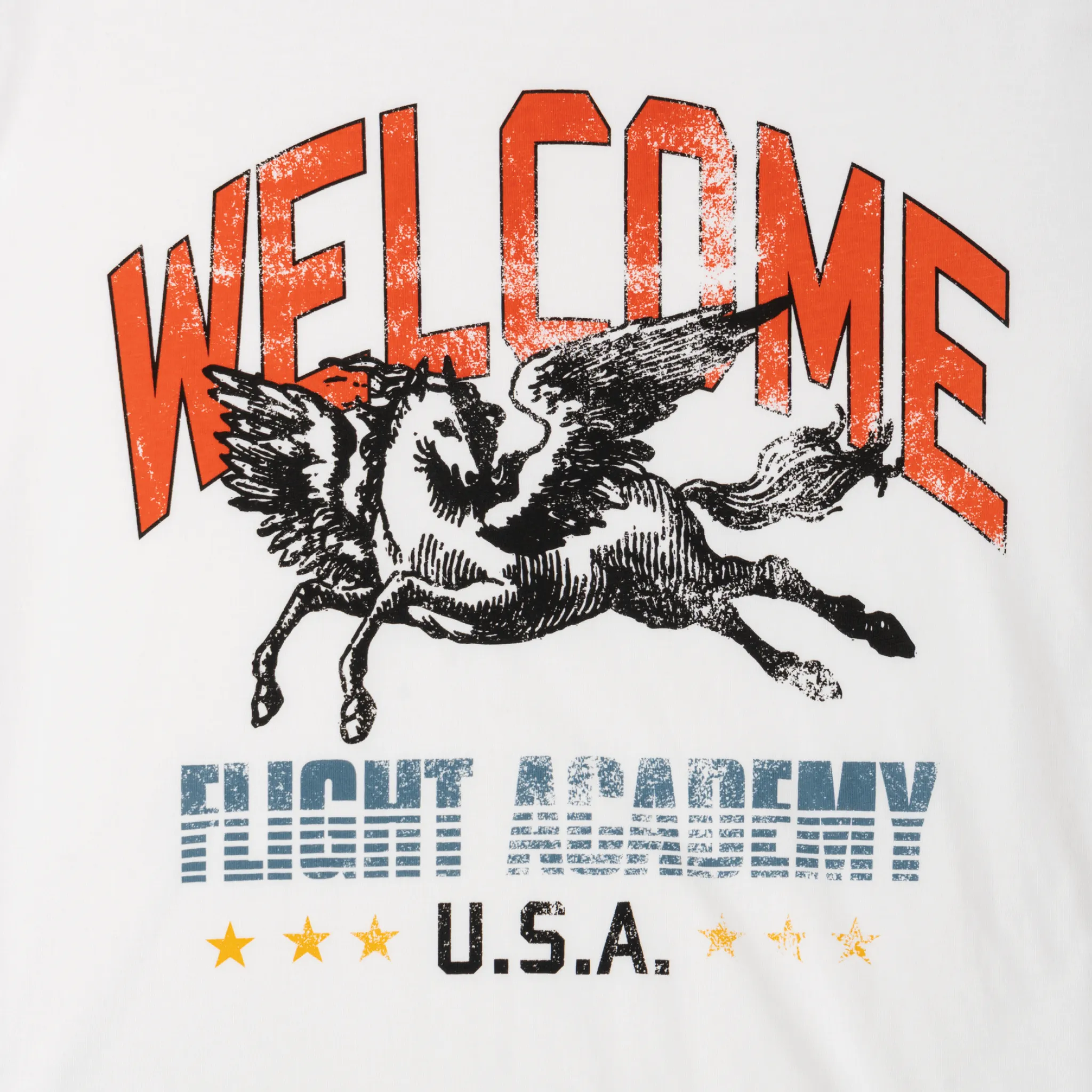 Pegasus Boxy Tee Hypoallergenic Textile