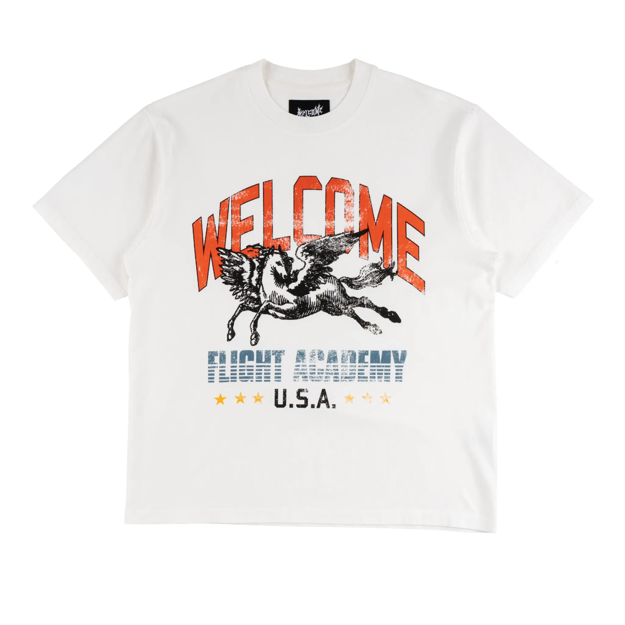 informal gathering Pegasus Boxy Tee