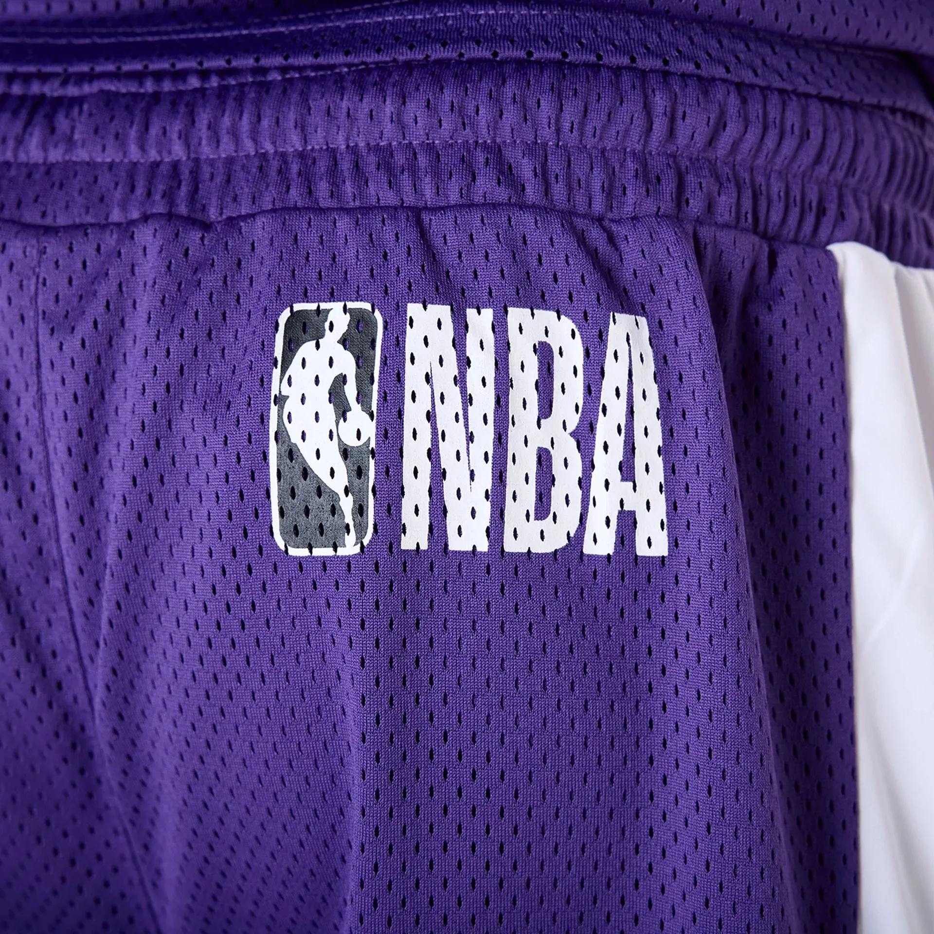Fresh Look LA Lakers NBA Graphic Purple Mesh Shorts