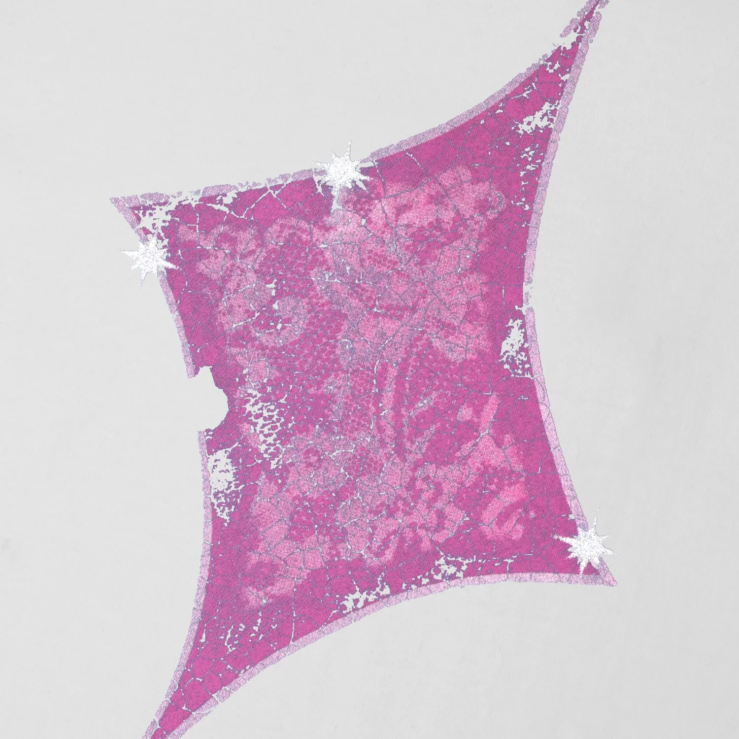 Pass~Port Glint Tee - White Eco Friendly Dye