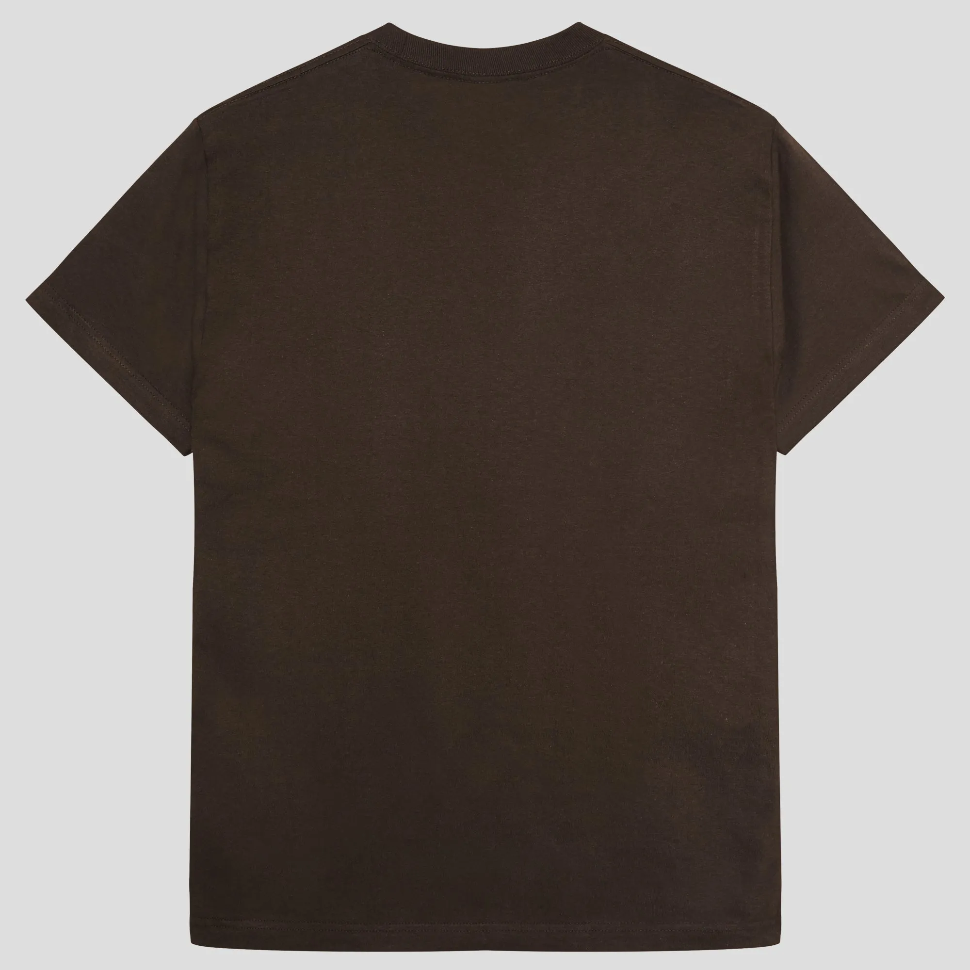 Pass~Port Store & Gallery Exclusive Wired Logo Tee - Bark Effortless Fit Casual Essential