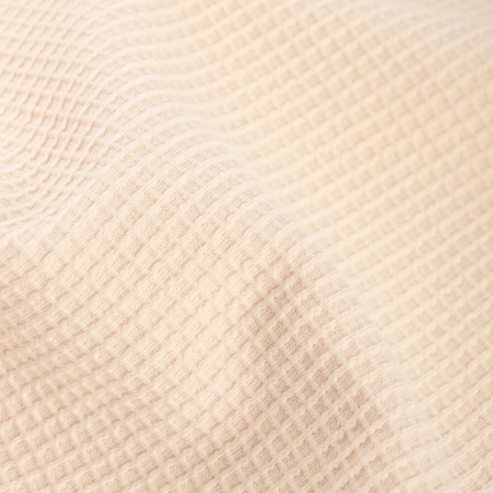 Premium Cotton Phantom Embroidered Waffle-Knit Tee - Bone