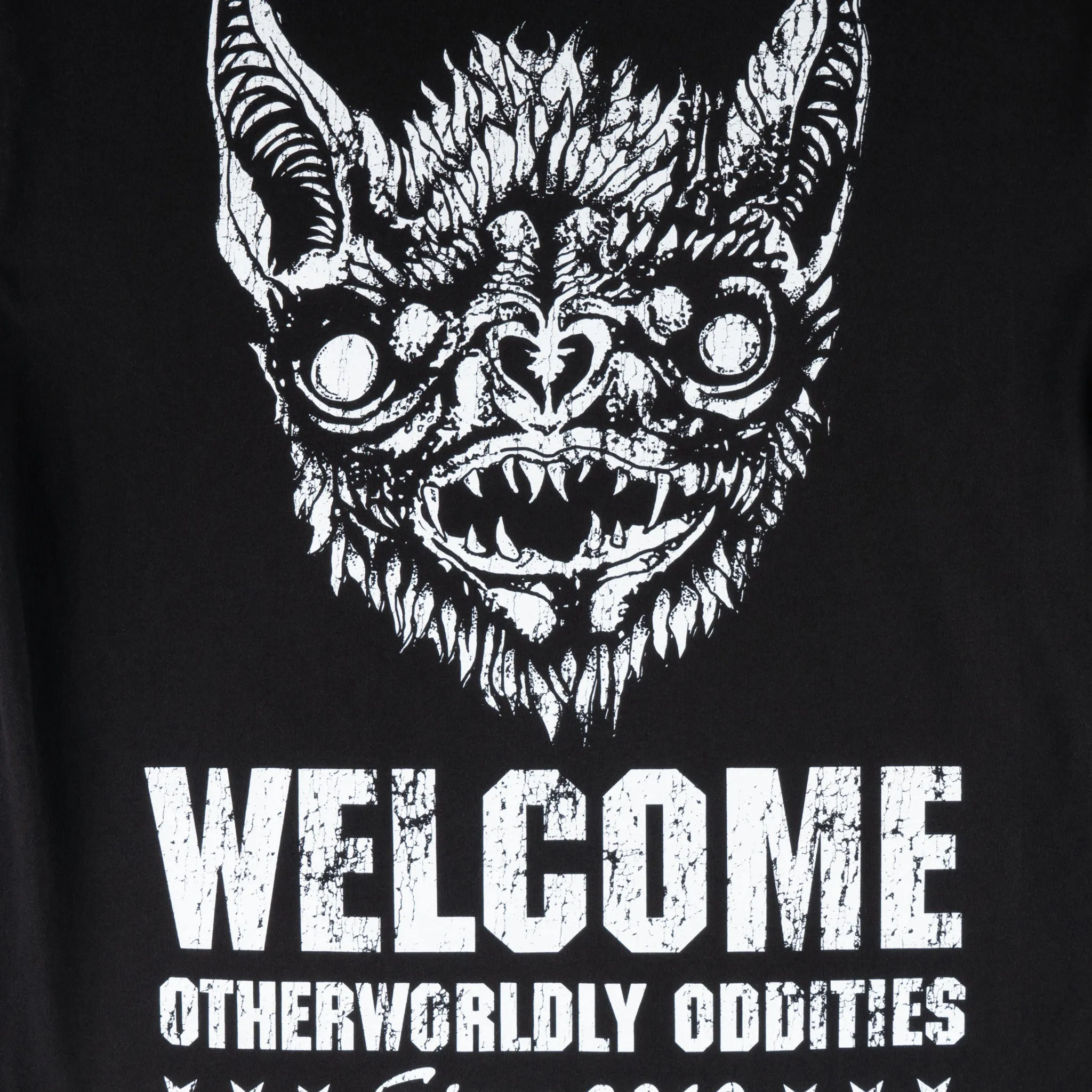 Sanguivore Printed L/S Garment-Dyed Tee AntiStaticLining