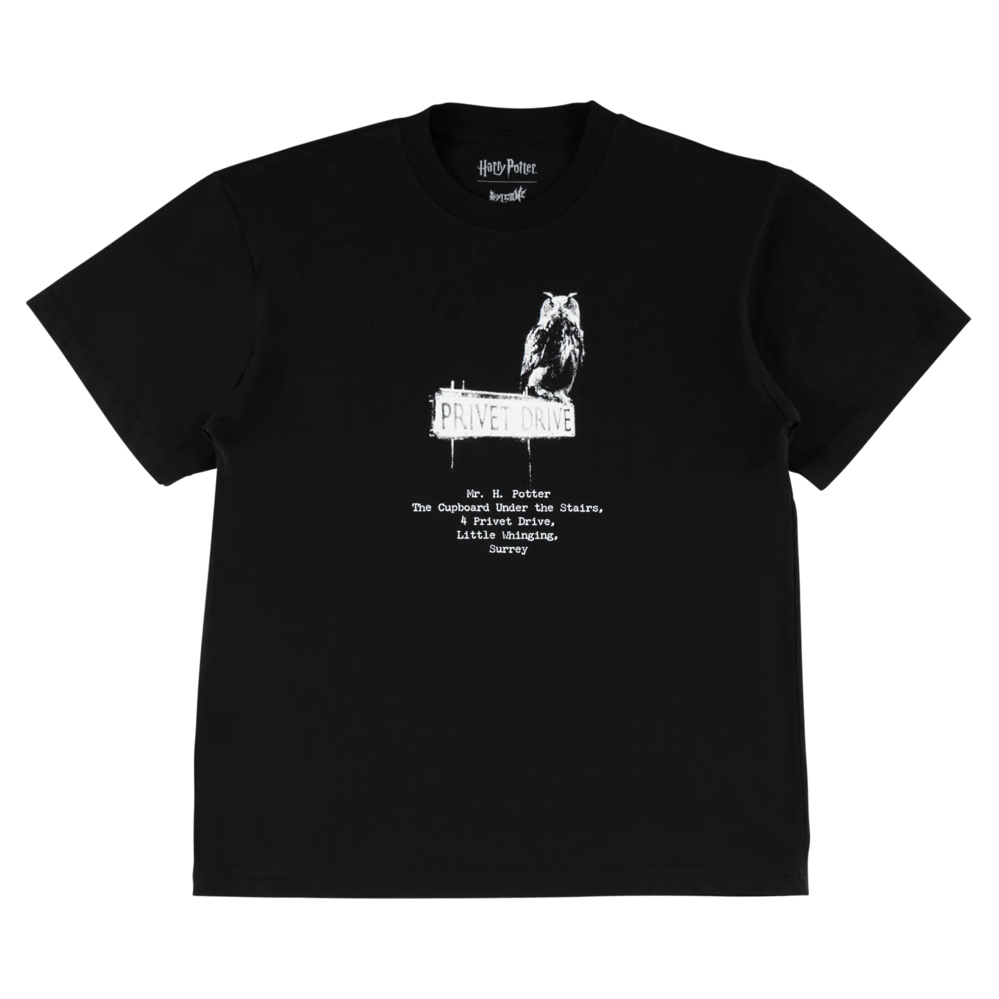 HARRY POTTER X WELCOME - Acceptance Boxy Garment-Dyed Tee Functional Fashion