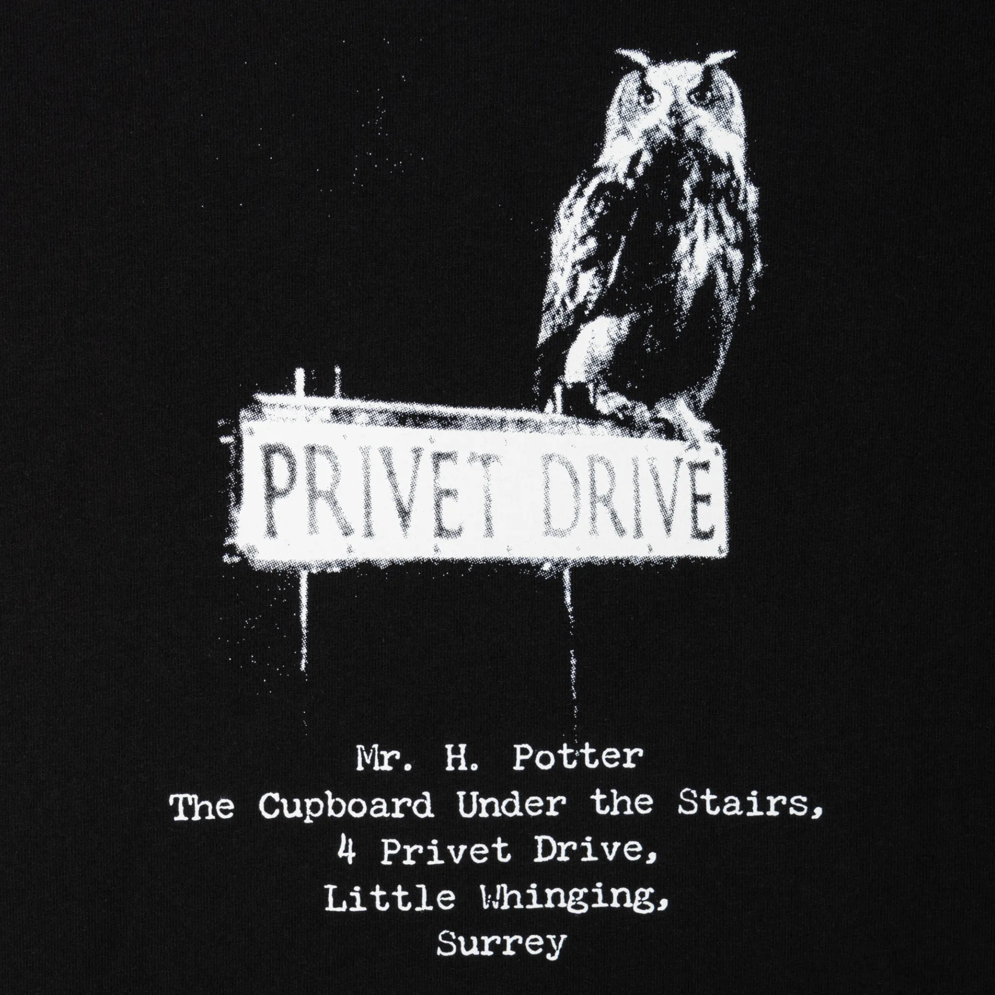 Weekend Ready HARRY POTTER X WELCOME - Acceptance Boxy Garment-Dyed Tee