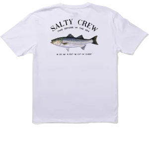 Simple Comfort Wear Striper S/S Tee - White