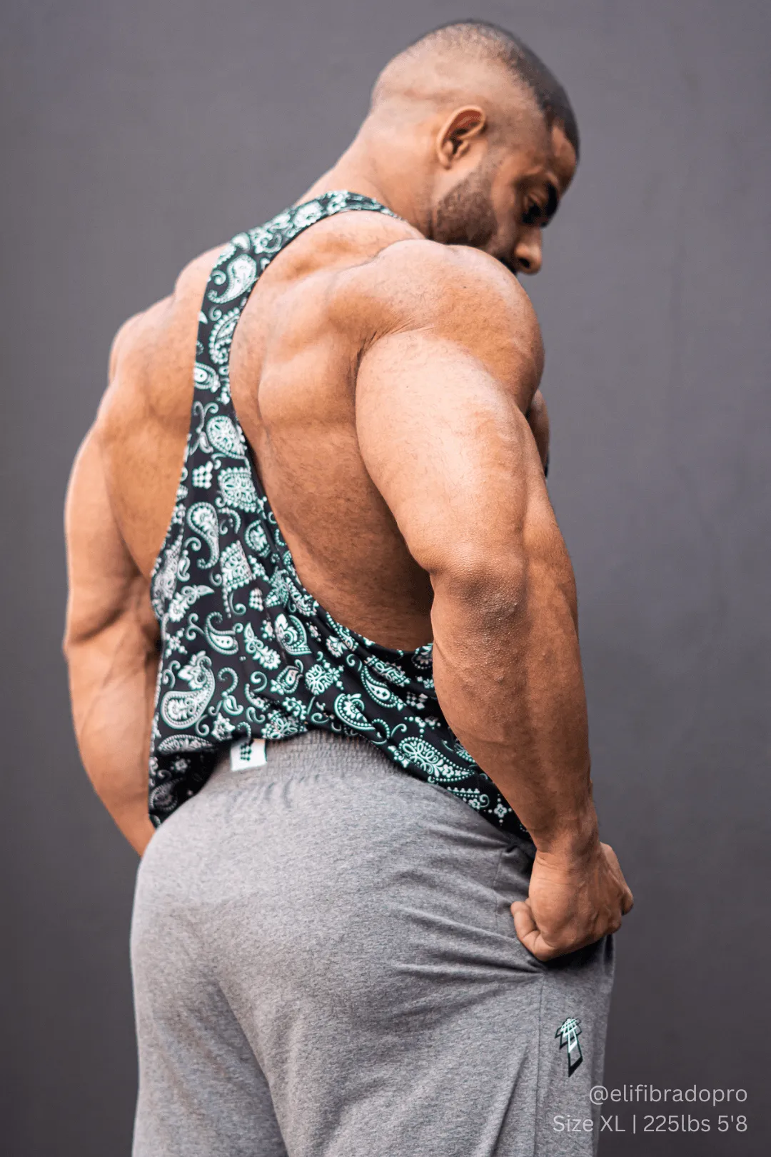 Graphic Muscle Stringer - Paisley Stretch woven Stability - optimized