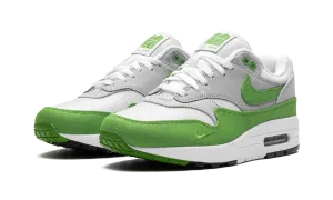 Summer cool Air Max 1 "Patta - Chlorophyll 2024"